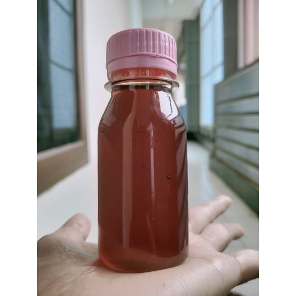 

Madu lebah hutan asli bukan ternak 80ML stok terbatas