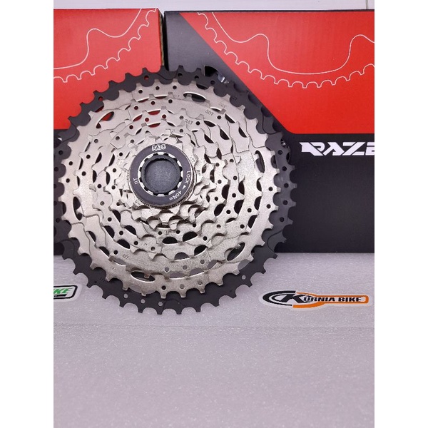 sprocket raze 8 speed t42