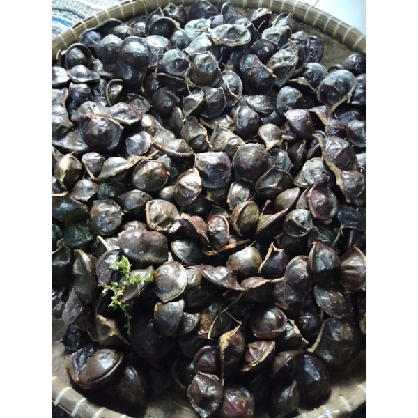 

Jengkol muda 1kg (belum di kupas)