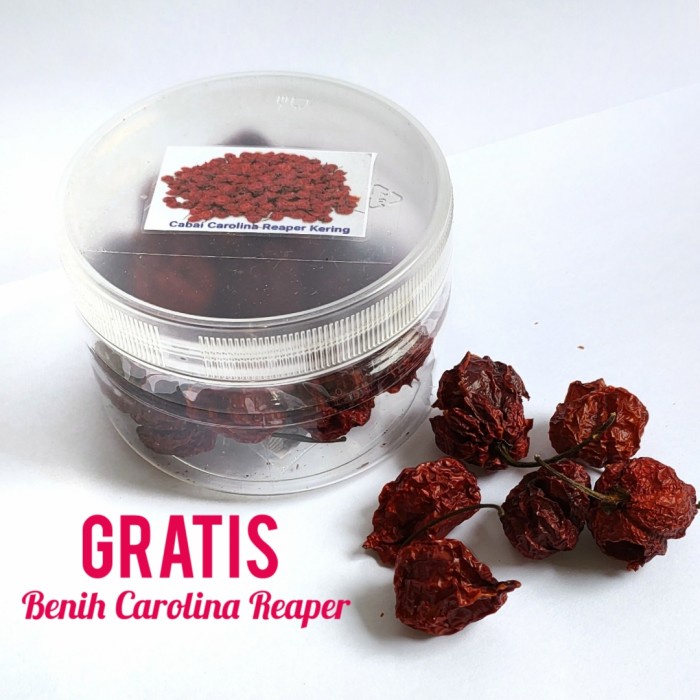 Buah Cabe Kering Carolina Reaper (Cabe Utuh) Cabe Terpedas di Dunia