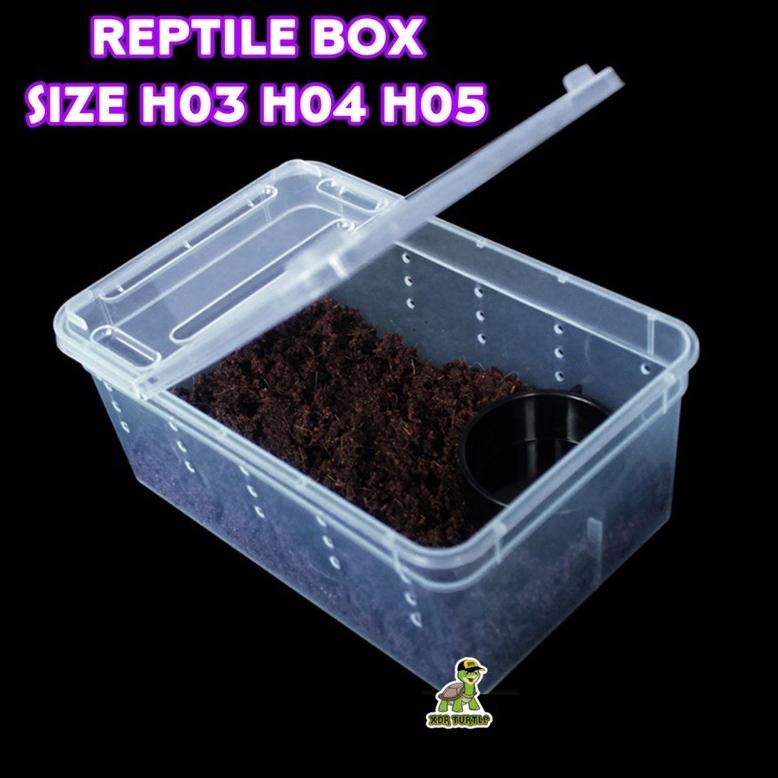 [ALQ] KANDANG REPTIL LEOPARD GECKO BALLPYTHON SKINK UROMASTYX KURA AIR RES BRAZIL BERBAGAI UKURAN 54