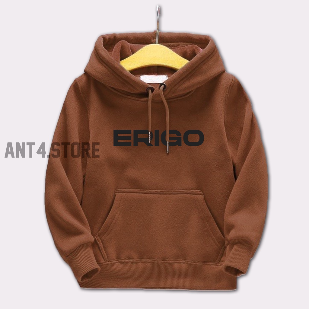 Hoodie Anak Laki Laki Perempuan Switer anak Usia 2 - 12 Tahun Jaket Anak laki laki ERIGO Sweater Distro