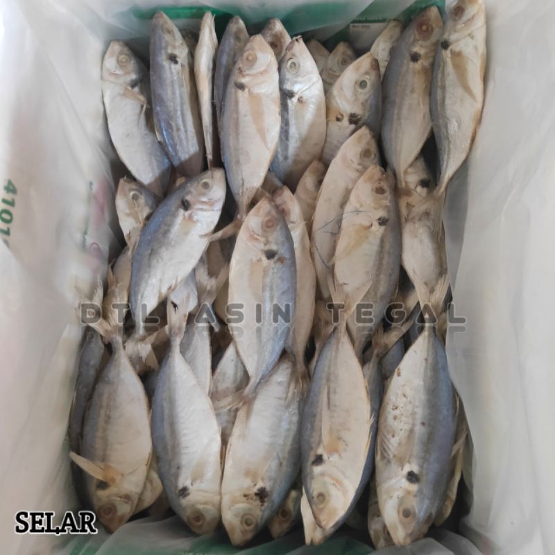 

Promo Ikan ASIN Selar B2 isi 250gr