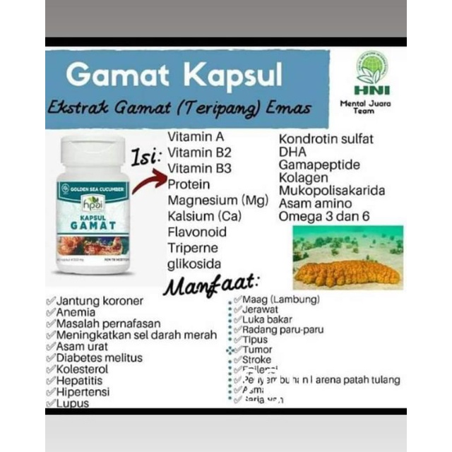 Gamat HNI