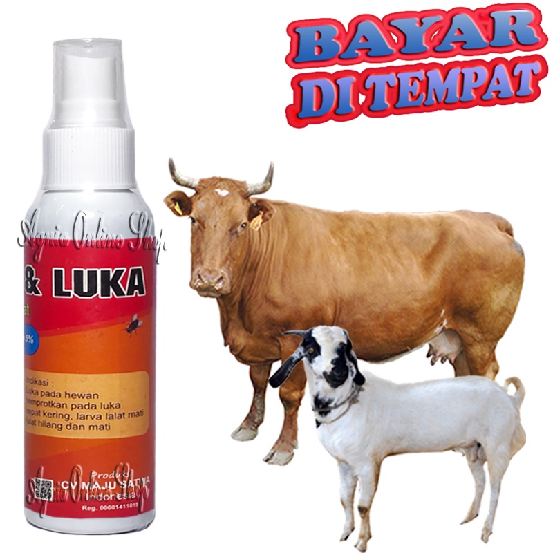 Obat Koreng Sapi Kambing ANTI LUKA LALAT Spray Sakit Jamur Gudik