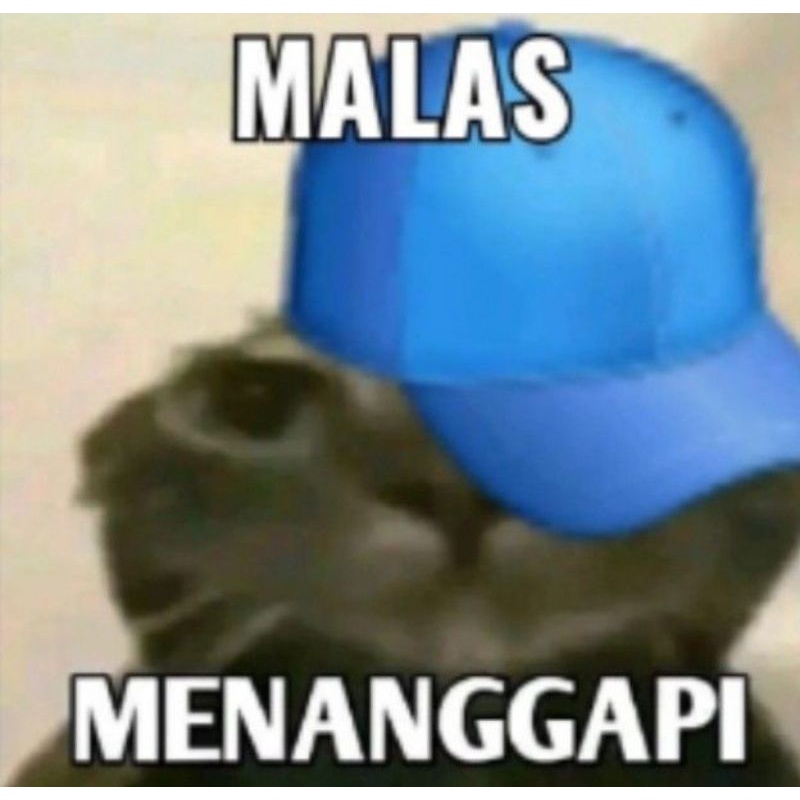 

hdhdjdjdhdj
