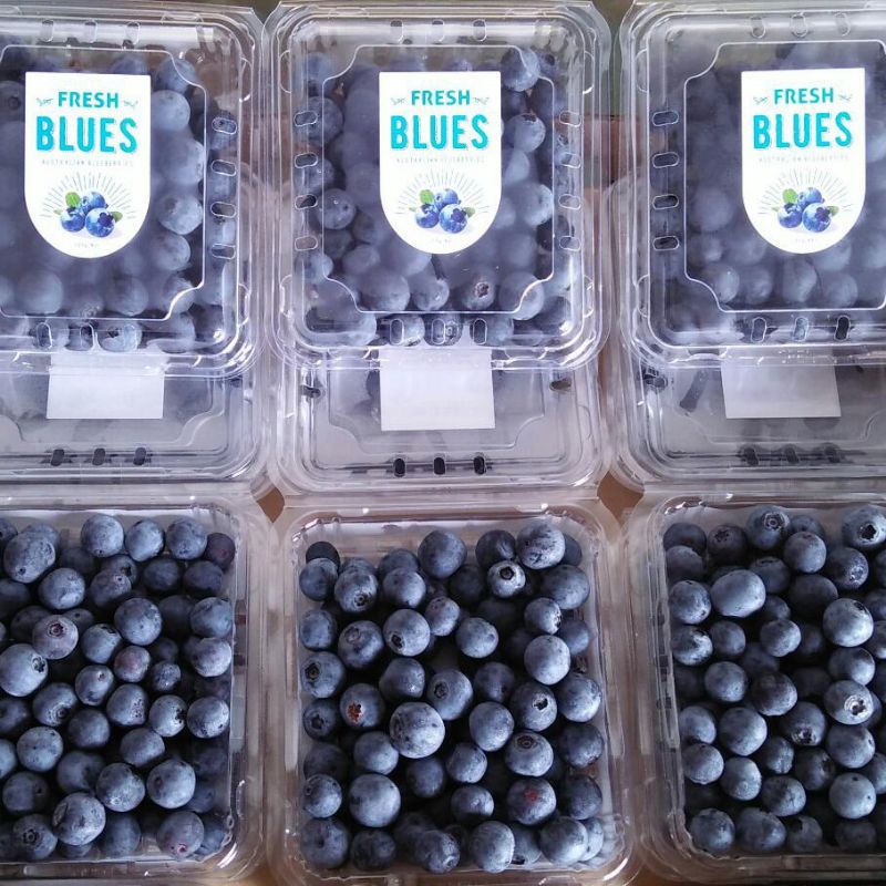 Buah Bluberi Segar / Fresh Blueberry - Manis Asam - HANYA UNTUK PEMBELI DI JAWA TIMUR