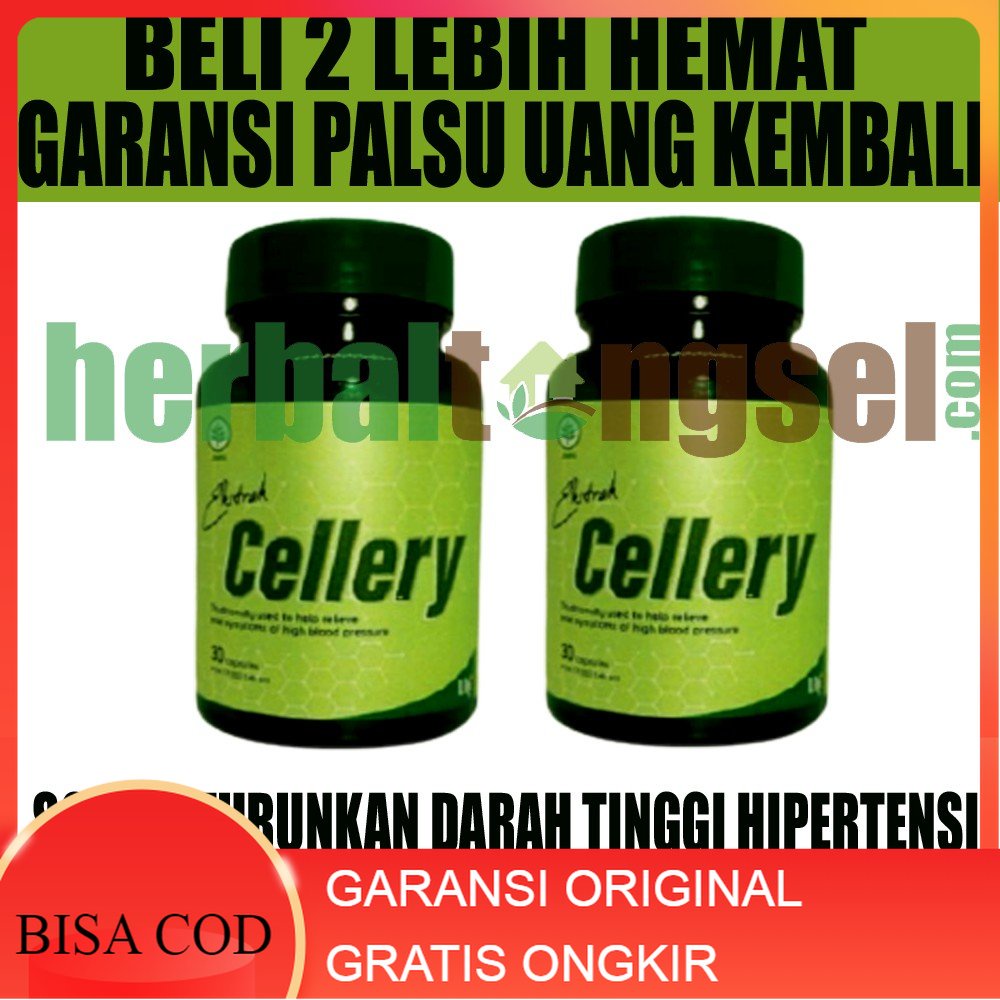 E Cellery Herbal Asli Garansi Original E Cellery Herbal Darah Tinggi Obat Hipertensi Gula Darah Ting