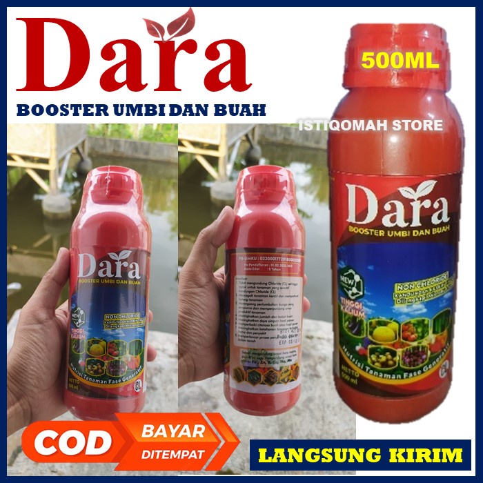 Booster Buah Padi DARA 500ML Obat Pengisian Bulir Padi - Obat Bulir Buah Padi - Obat Padi Obat Buah Padi - Obat Penambah Bobot Padi - Obat Buah Padi Ber Bobot - Obat Penambah Berat Padi - Obat Semprot Padi yang Bagus Ampuh Murah Terlaris