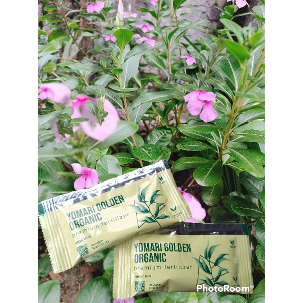 Pupuk Cair#Yomari Golden Organik#Pupuk Organik Cair