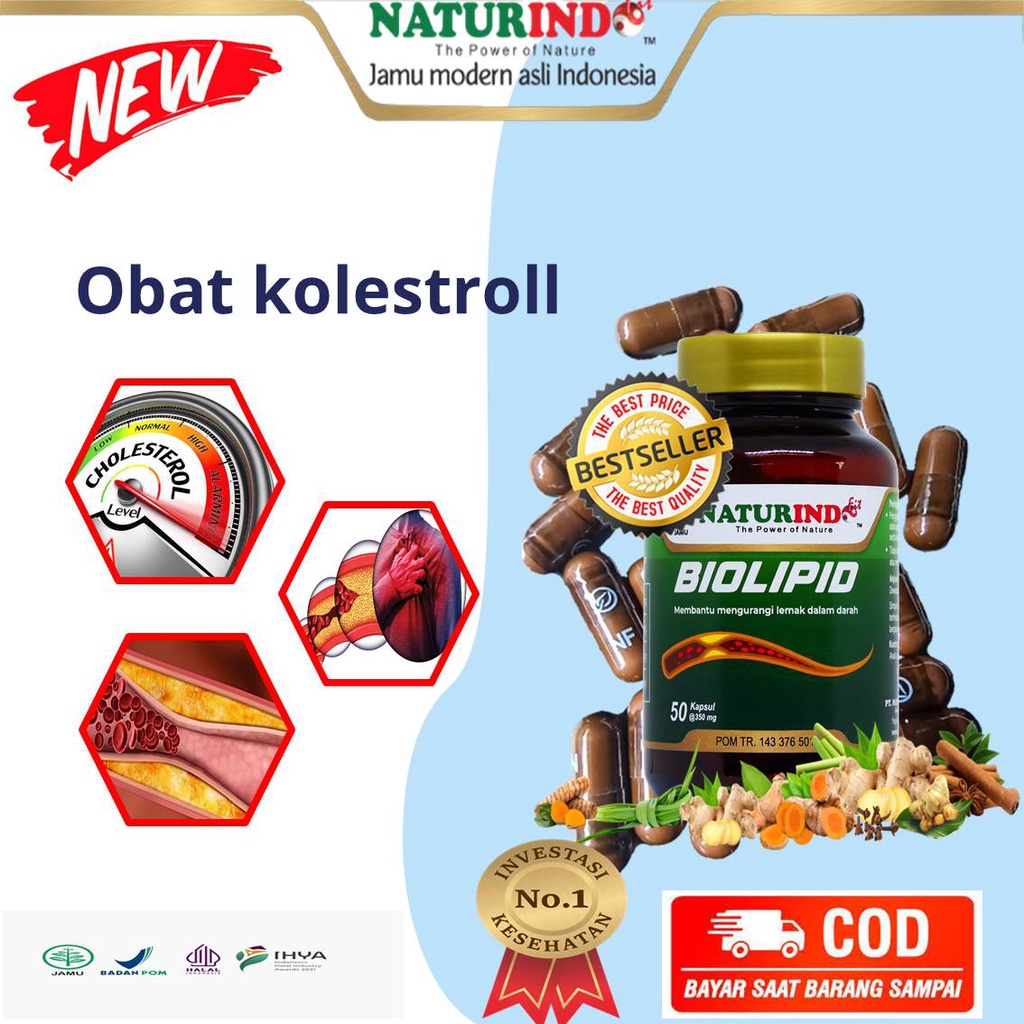 Obat Kolestrol Darah Tinggi Hipertensi Paling Ampuh