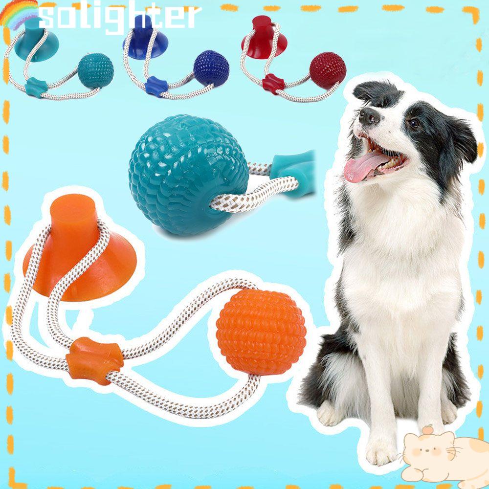 Solighter Dog Interaktif Mainan Puppy Supplies IQ Treat Toys Mainan Bola TPR Pembersih Gigi Anjing