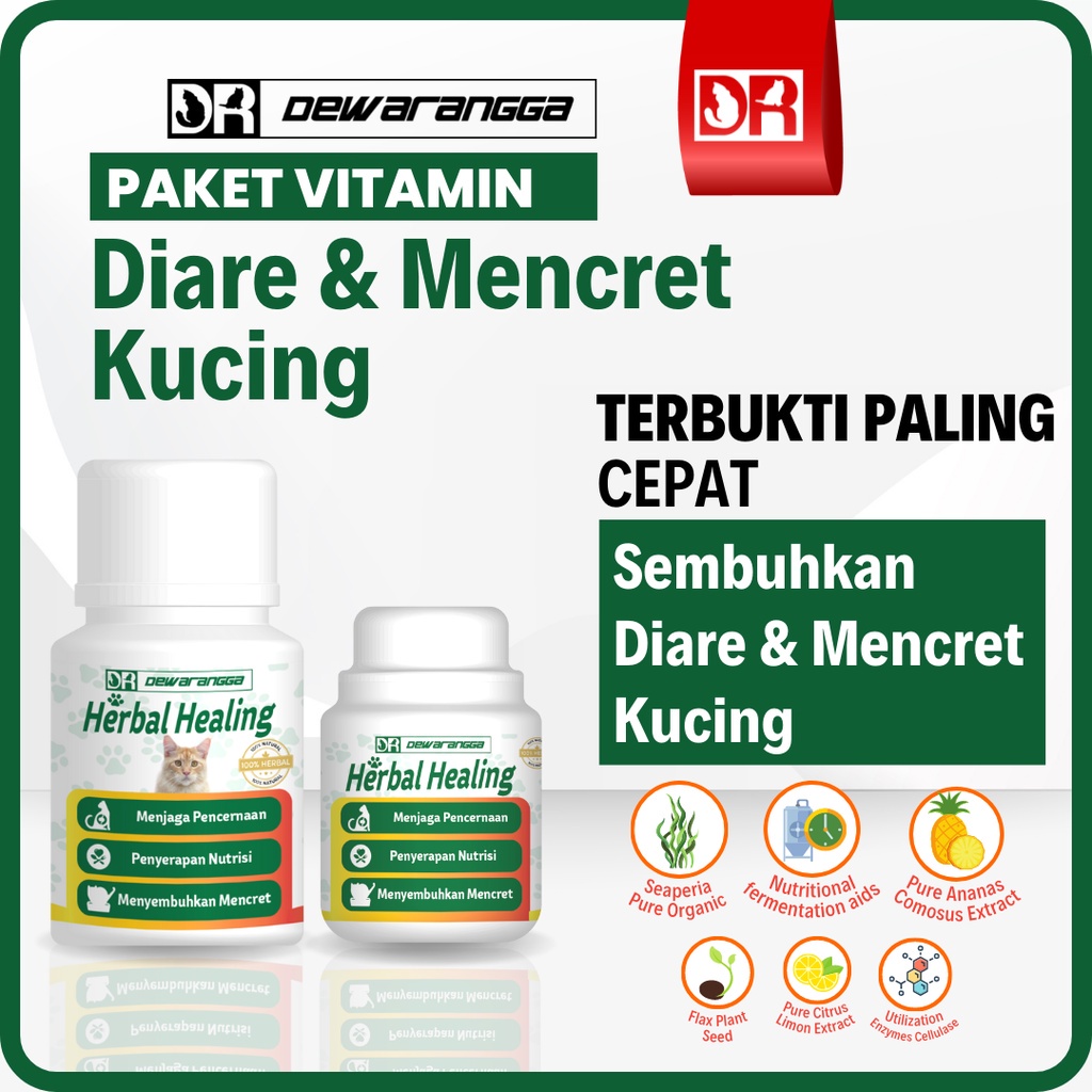 Govis Vitamin Kucing Diare dan Mencret Dewarangga - Obat Diare Kucing - Obat Mencret Kucing - Obat Diare Kucing Kitten - Obat Mencret Kucing Kitten