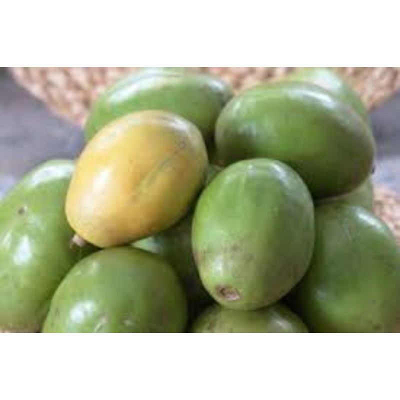 

Kedondong Fresh