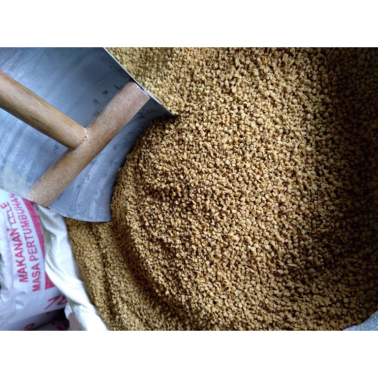 Pakan Ayam 202 C Gold Coin Untuk Pembesaran Ayam isi Repack 1 kg