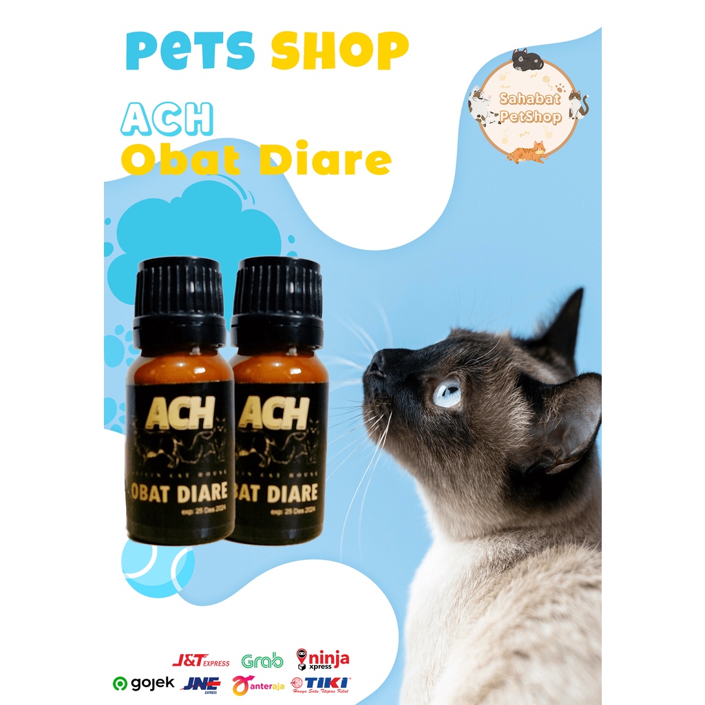 ACH obat diare kucing