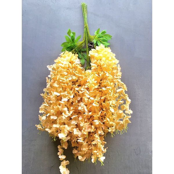 [1 LUSIN ] Wisteria Gantung Besar / Bung aJuntai Wisteria (12 pcs)