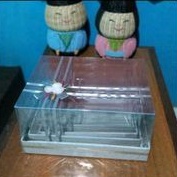 parsel lamaran/box lamaran/baki lamaran