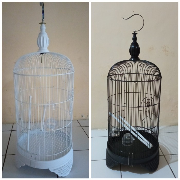 Kandang Burung Kandang Burung Lovebird