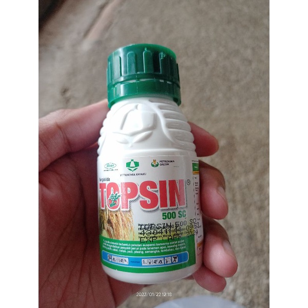 FUNGISIDA TOPSIN 100 ML