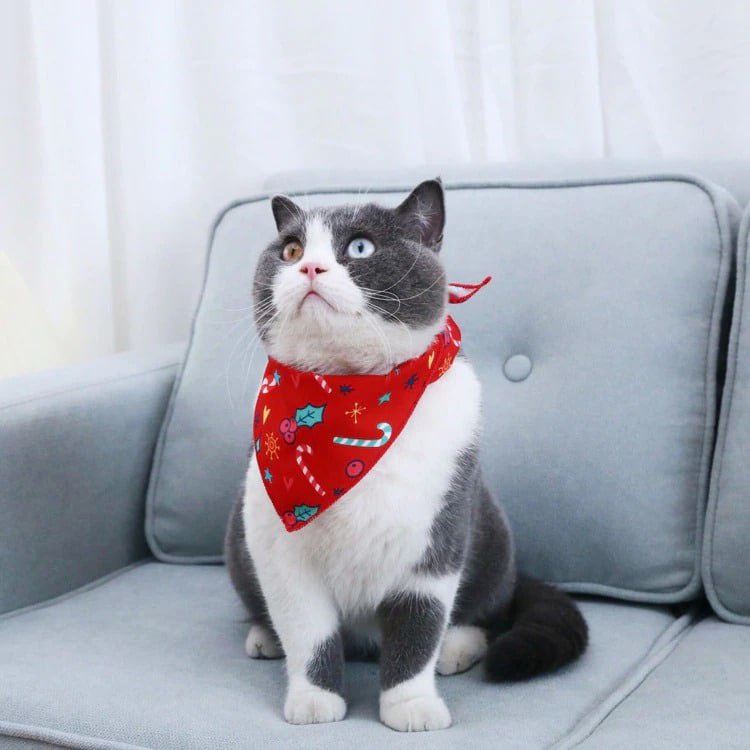 Syal Kucing Leher Bentuk Segitiga Motif FEZONE