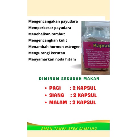 kapsul pembesar payudara ampuh