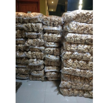 Cuangki Lidah Kering Isi 500Pcs MURAH