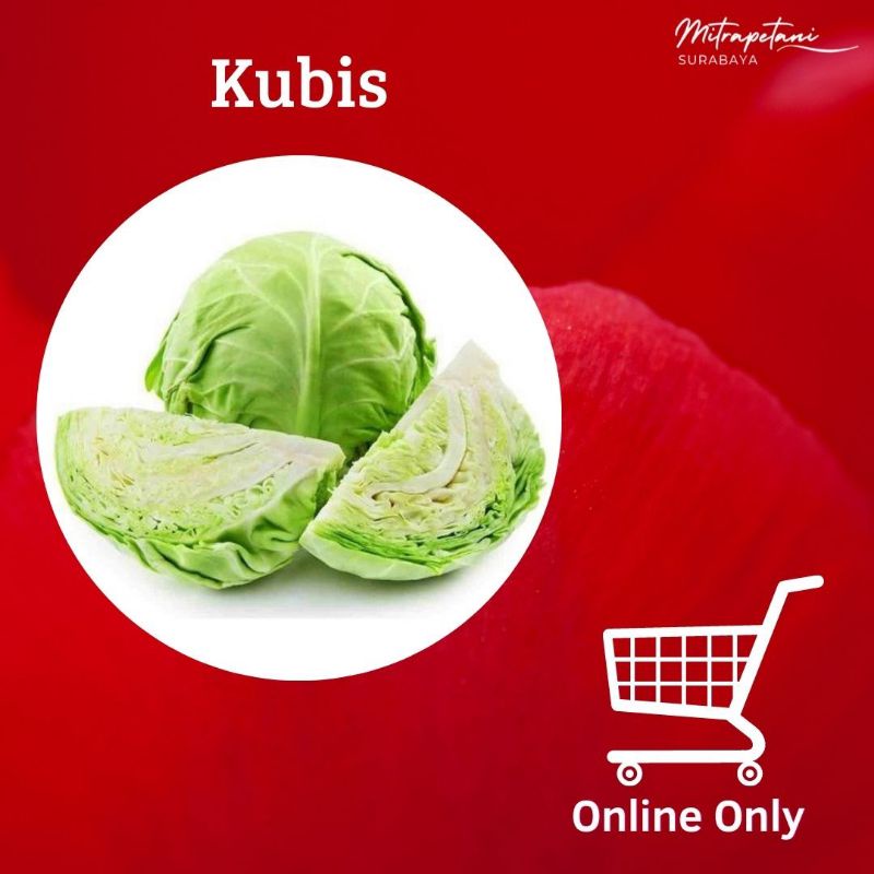 

Kubis,sayur kubis segar, sayur kubis