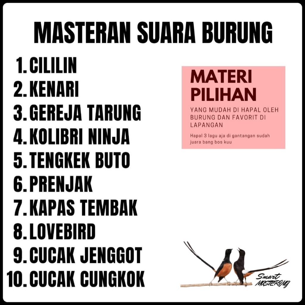 MASTERAN BURUNG TIMER