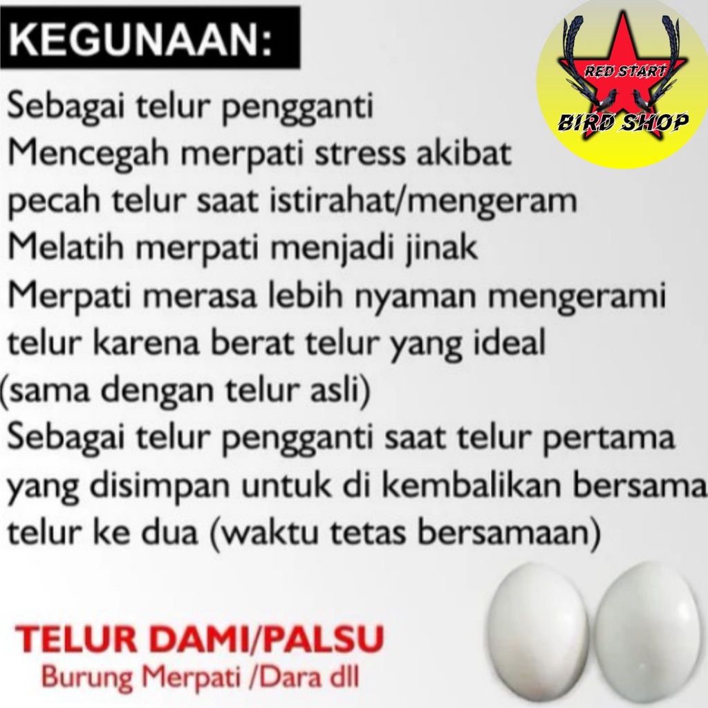 TELUR PALSU MAINAN BURUNG MERPATI TELUR PALSU MERPATI AYAM KATE TELOR TELUR PALSU MERPATI IMITASI BAHAN SOLID