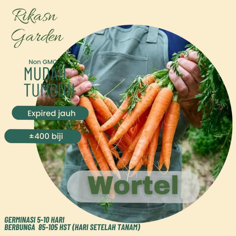 KHUSUS BATAM benih biji bibit wortel super