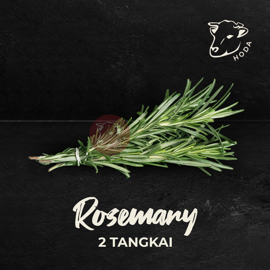 

Daun Rosemary 2 Tangkai