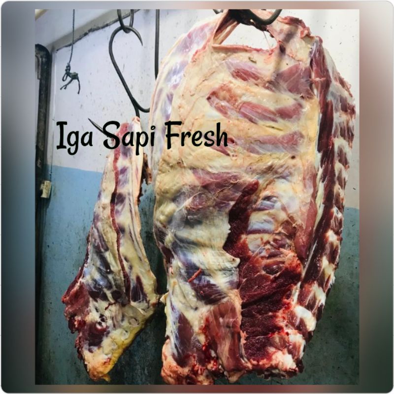 

Iga Sapi