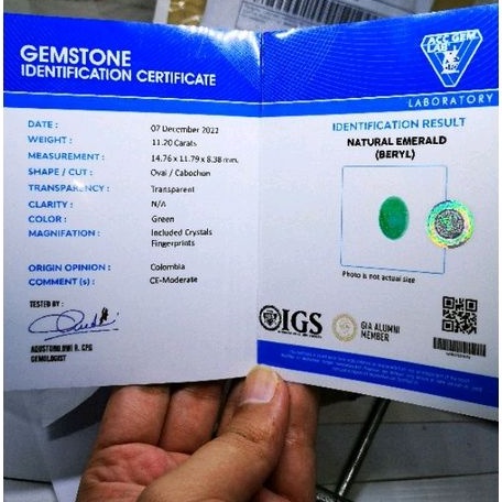 Natural Batu Zamrud Colombia Original Plus Sertifikat Memo Gems Lab Murmer