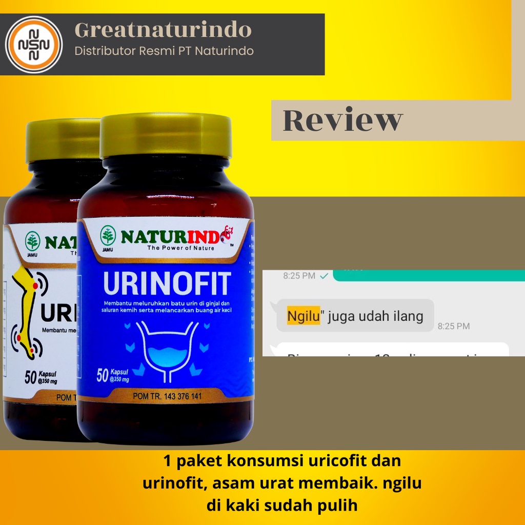 Obat asam urat herbal dan kolesterol nyeri sendi jamu paling ampuh kolestrol kaki bengkak rematik sakit tumit flu tulang Uricofit Naturindo