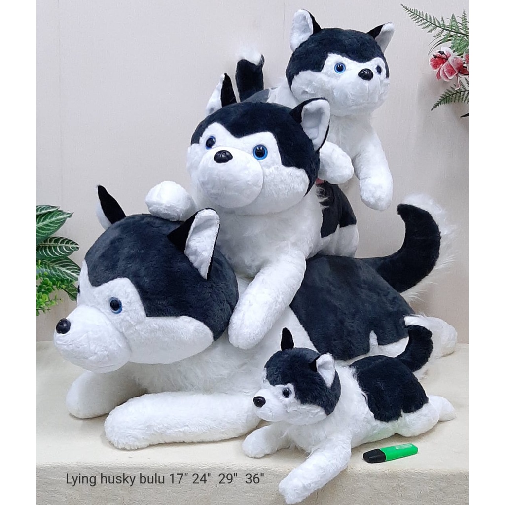 Boneka Laying Dog Huzky Size 17&quot;/20cm/boneka anjing/boneka animal/Boneka Husky/Boneka Srigala