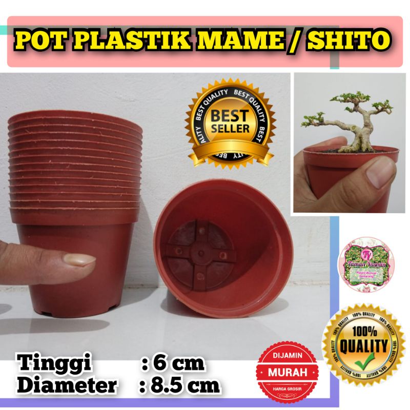 POT PLASTIK MAME / SHITO