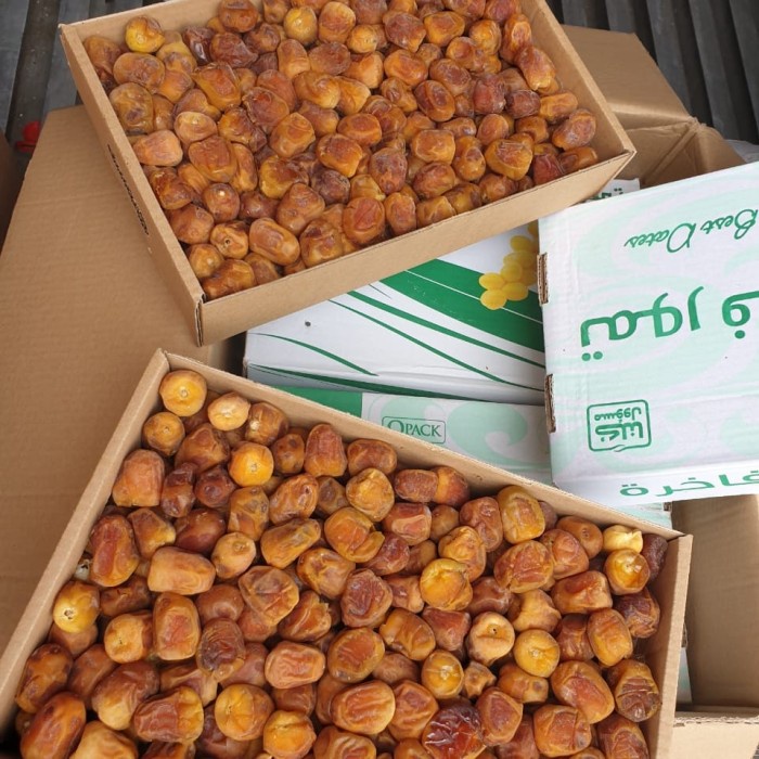 

kurma sukari 3kg (4box)// kurma sukari alqosim//kurma raja