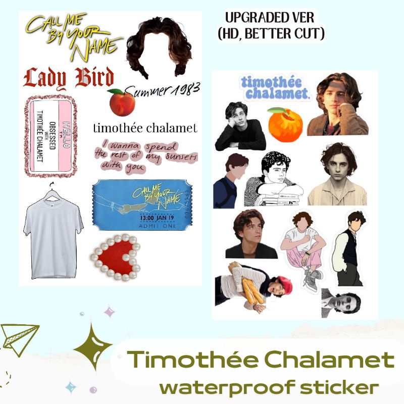 

TIMOTHÉE CHALAMET WATERPROOF STICKER ISI 2 LEMBAR UNTUK HP LAPTOP JOURNAL NOTEBOOK HIGH QUALITY HIGH DEFINITION