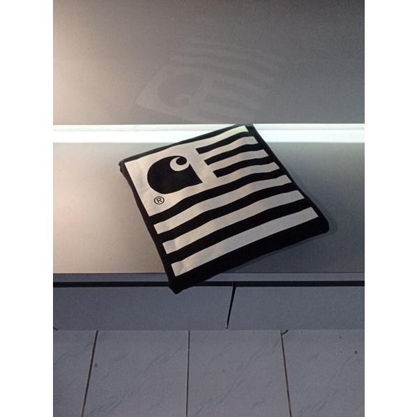 CARHARTT STATE FLAG HOODIE