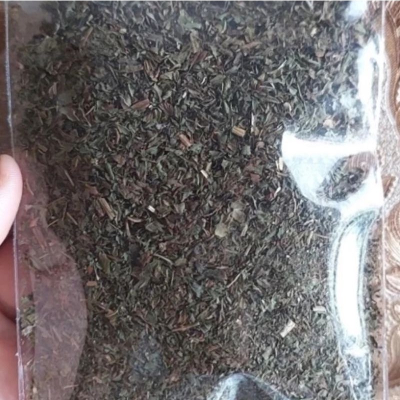 

Daun Mint Kering Import 100gr / 250gr - Dried Peppermint Tea