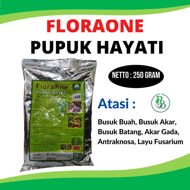 pupuk hayati Rhizobium, pupuk Rhizobium untuk kacang, manfaat pupuk Rhizobium