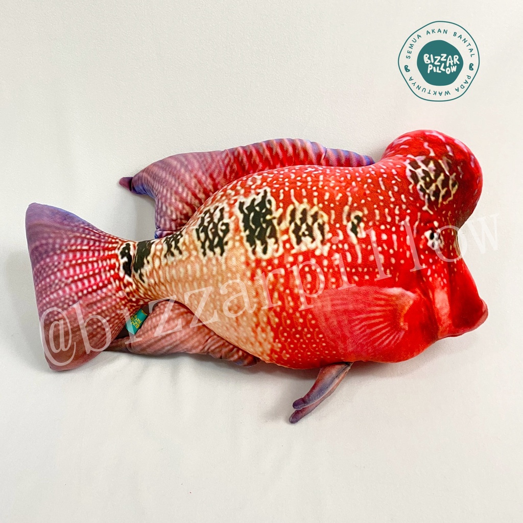 Bizzarpillow Bantal Ikan Louhan Size L BZ343