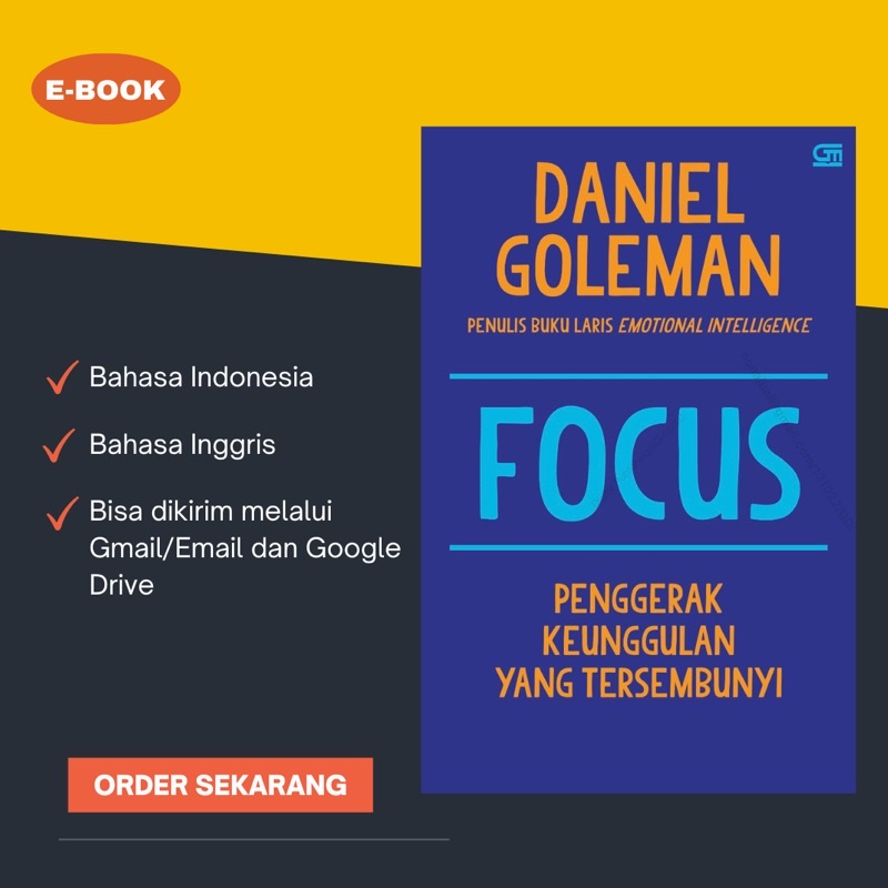 

Focus - Daniel Goleman