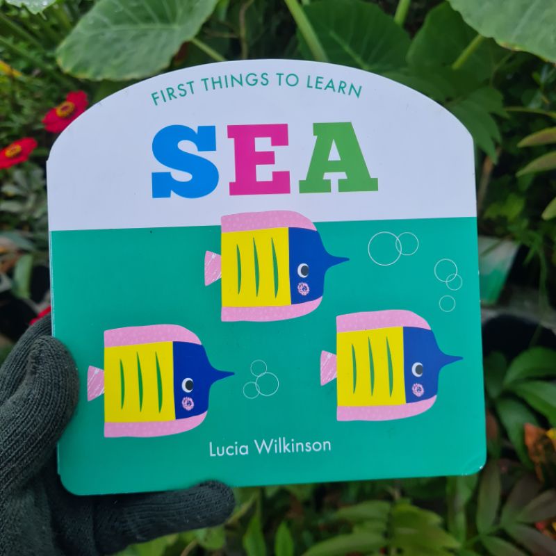 CURVED BOOKS: SEA (Buku Anak: Board Book)