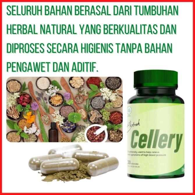 E Cellery Obat Darah Tinggi Hipertensi Ekstrak Cellery Kapsul Herbal