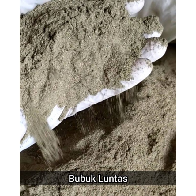 

Serbuk Daun Beluntas / Bubuk Luntas Murni 1Kg