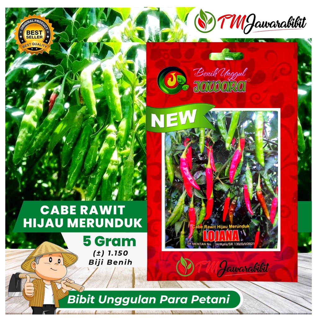 ISI 5 GRAM BIBIT CABE RAWIT HIJAU LOJANA PRODUK ASLI JAWARA