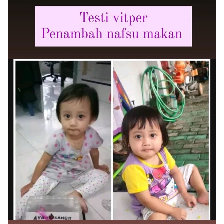 VITAMIN PUYER ORIGINAL VITPER