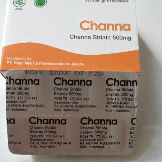 

【MEGA SALE】 Channa Striata 500mg Ekstrak Ikan Gabus 30 kapsul